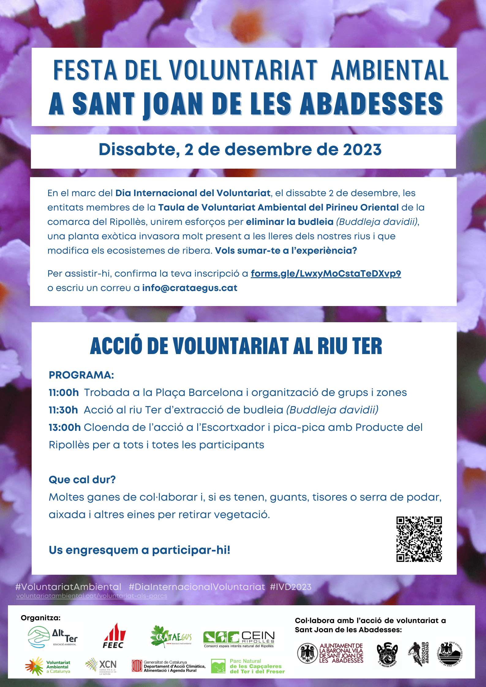Cartell Festa del Vo
 luntariat SJA 1